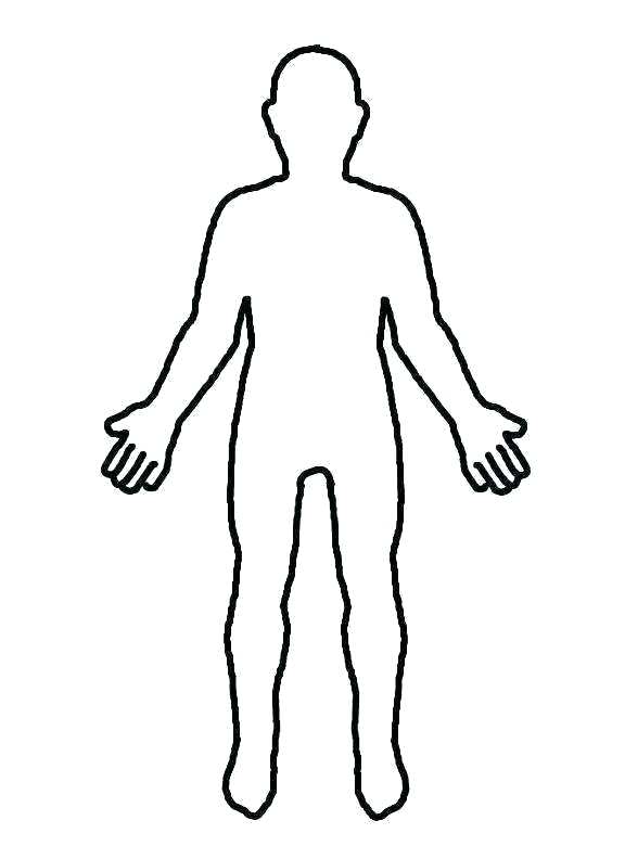 Medical Human Body Outline Drawing