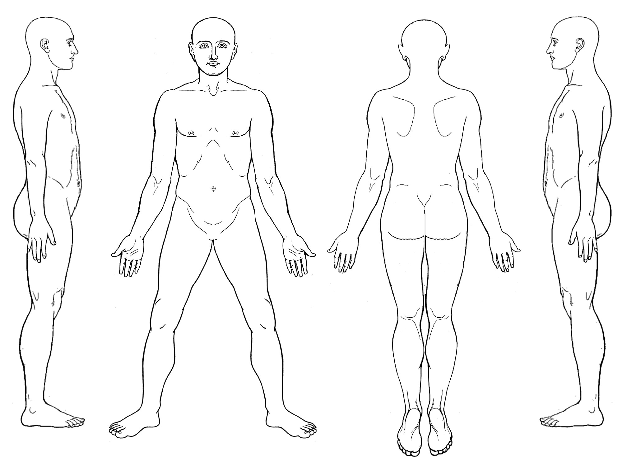 Female Human Body Outline Drawing at PaintingValley