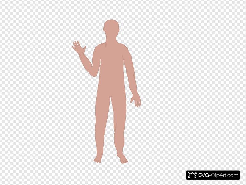 Male Body Three Clip art, Icon and SVG