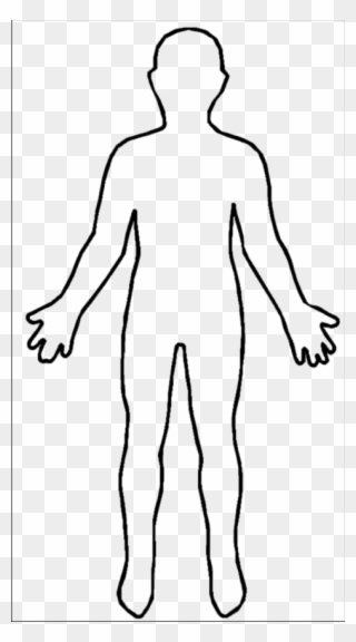 Outline of the human body clipart images gallery for free