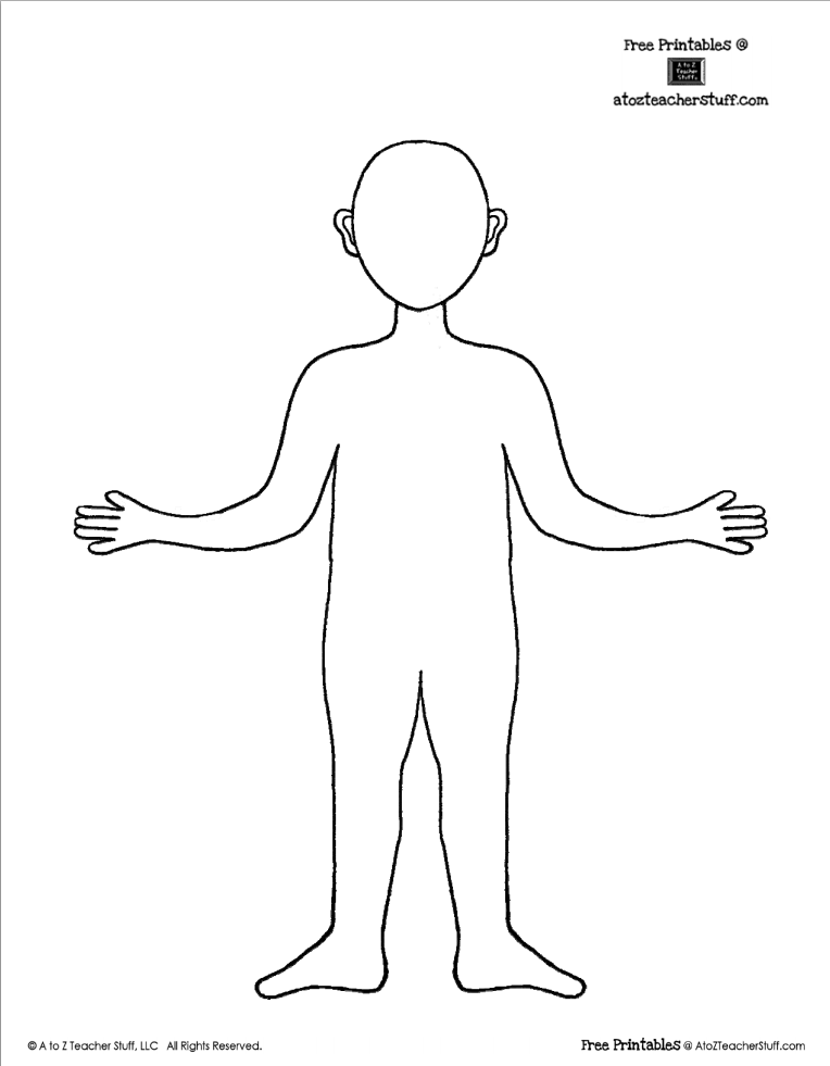 Human body template.