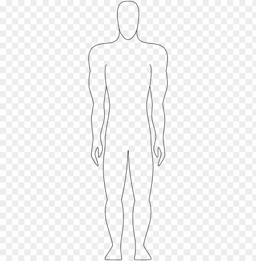 Human body outline png