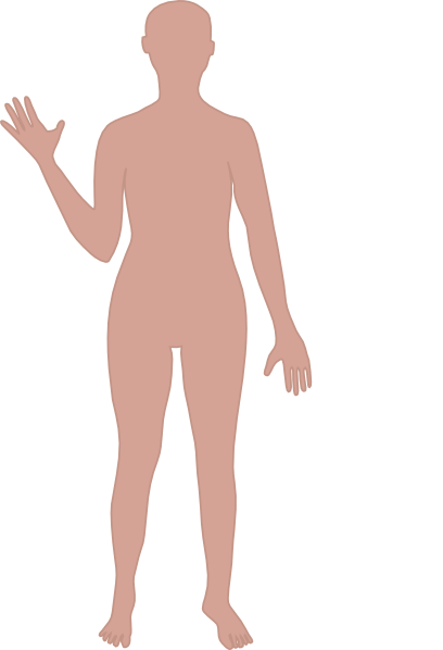 Person outline body.