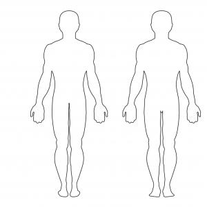 Outlines human body.