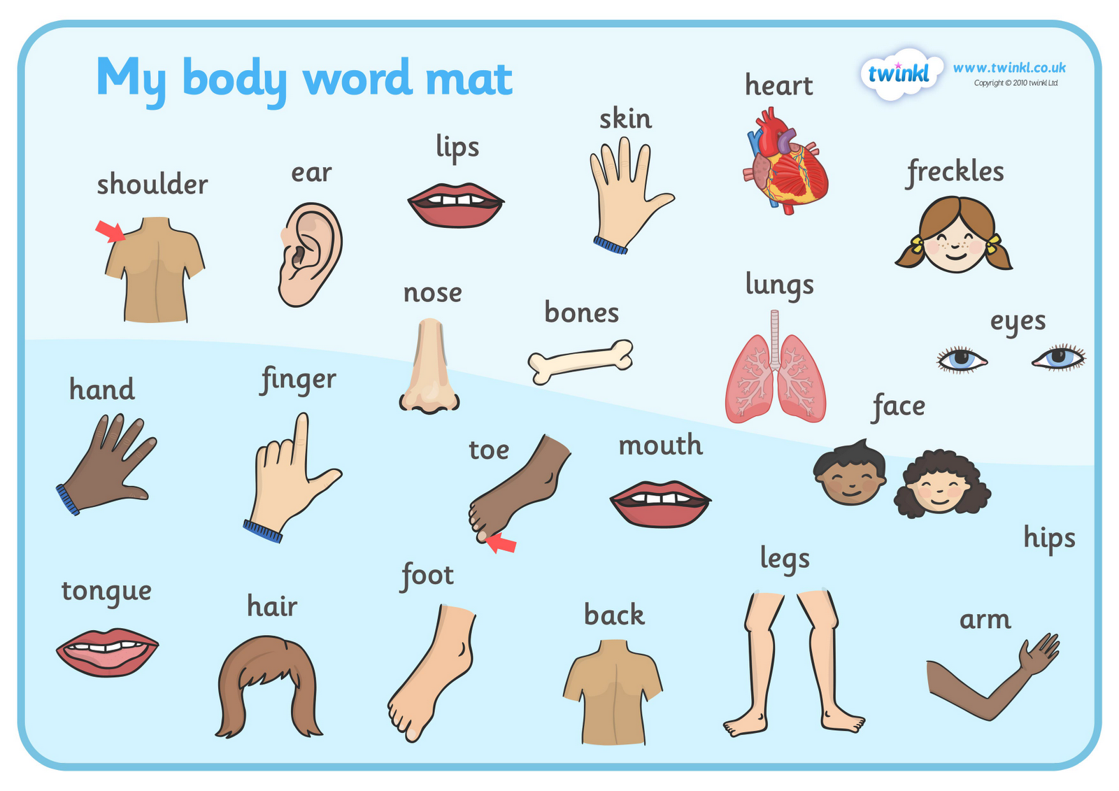Free My Body Parts, Download Free Clip Art, Free Clip Art on