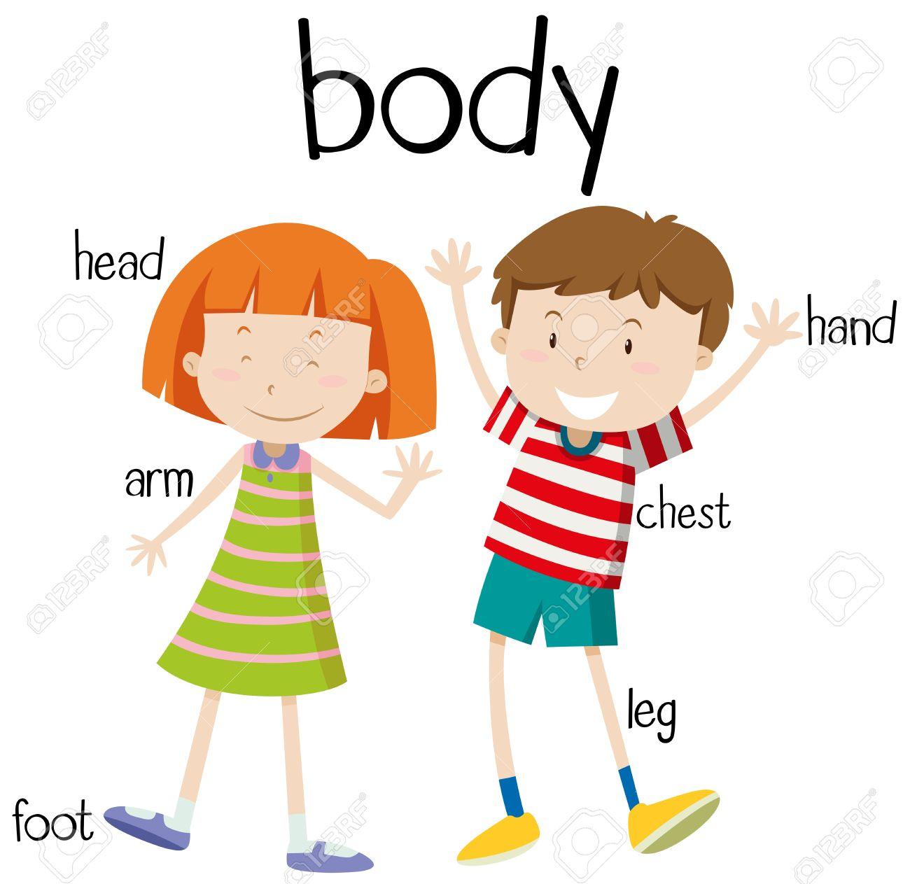 Clipart Of Human Body Part Human Body Parts Diagram
