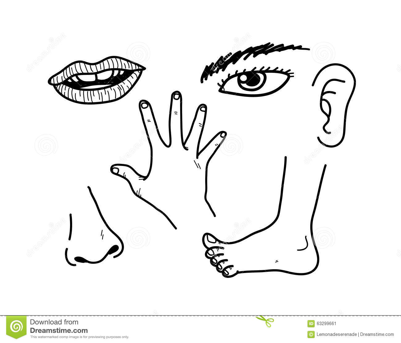 Body parts clipart black and white