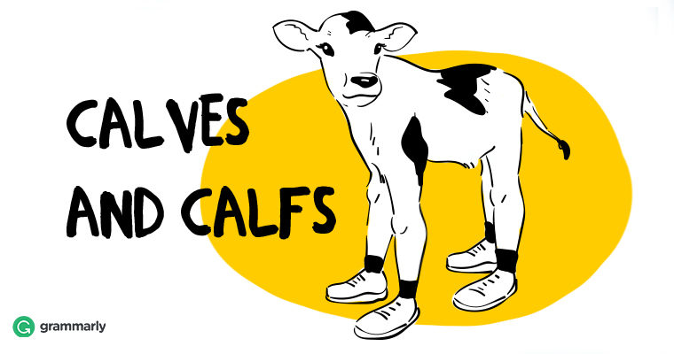 Calfs calves grammarly.