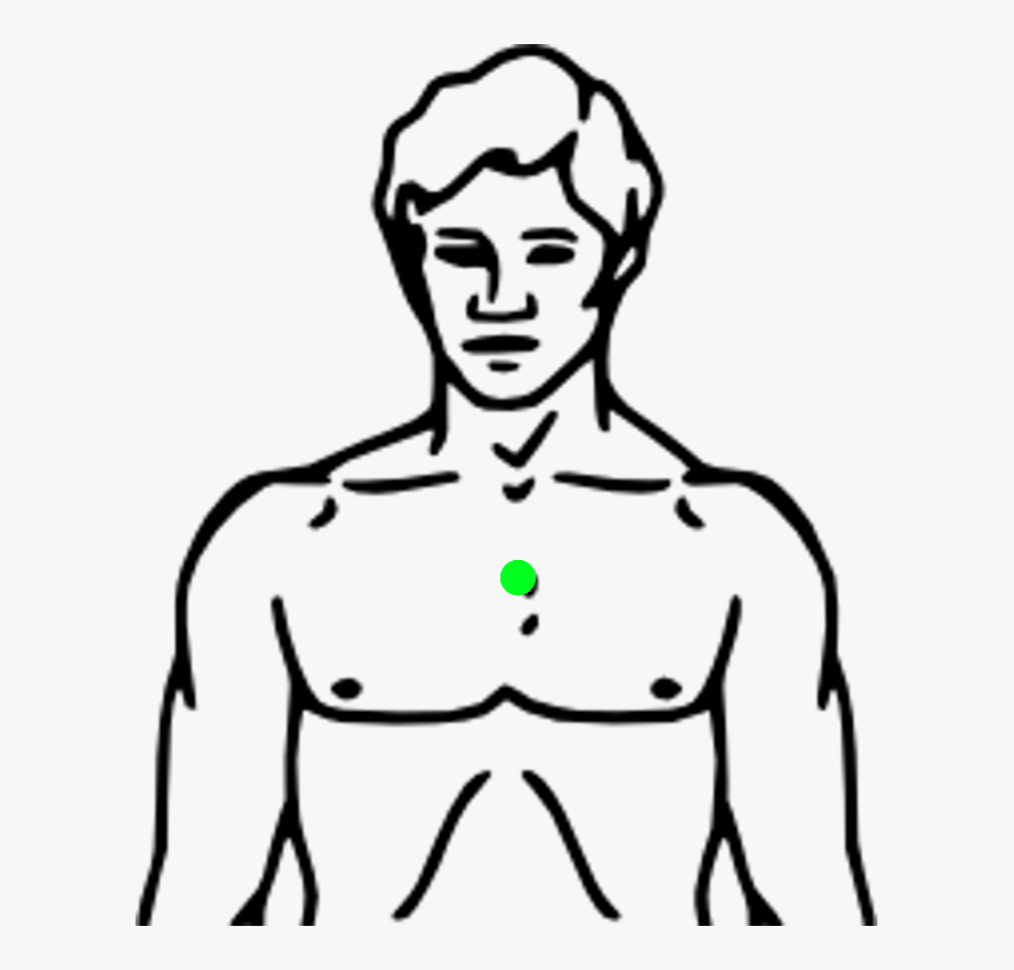 Body chest clipart.