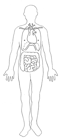 Sketch human body.