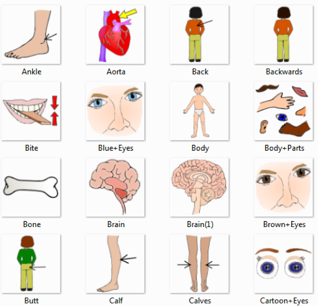 Free Parts Of The Body, Download Free Clip Art, Free Clip