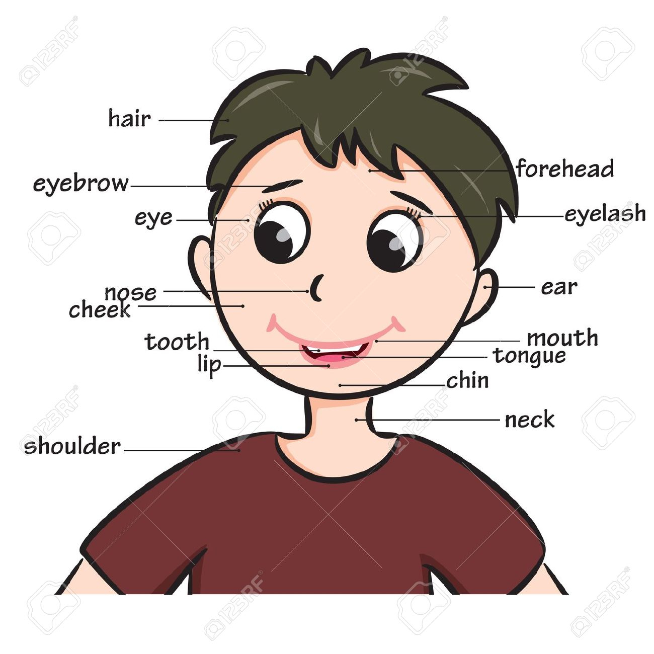 Body clipart face, Body face Transparent FREE for download