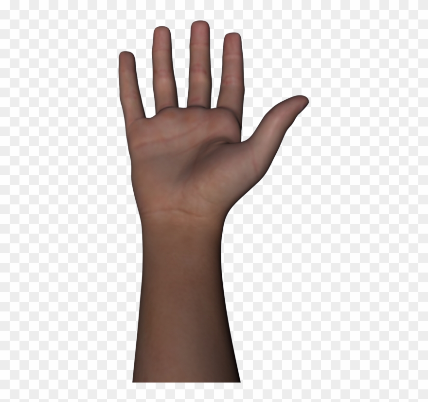 Free Png Of Body Parts Transparent Of Body Parts