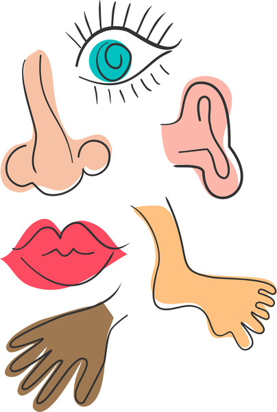 Free Body Cliparts, Download Free Clip Art, Free Clip Art on