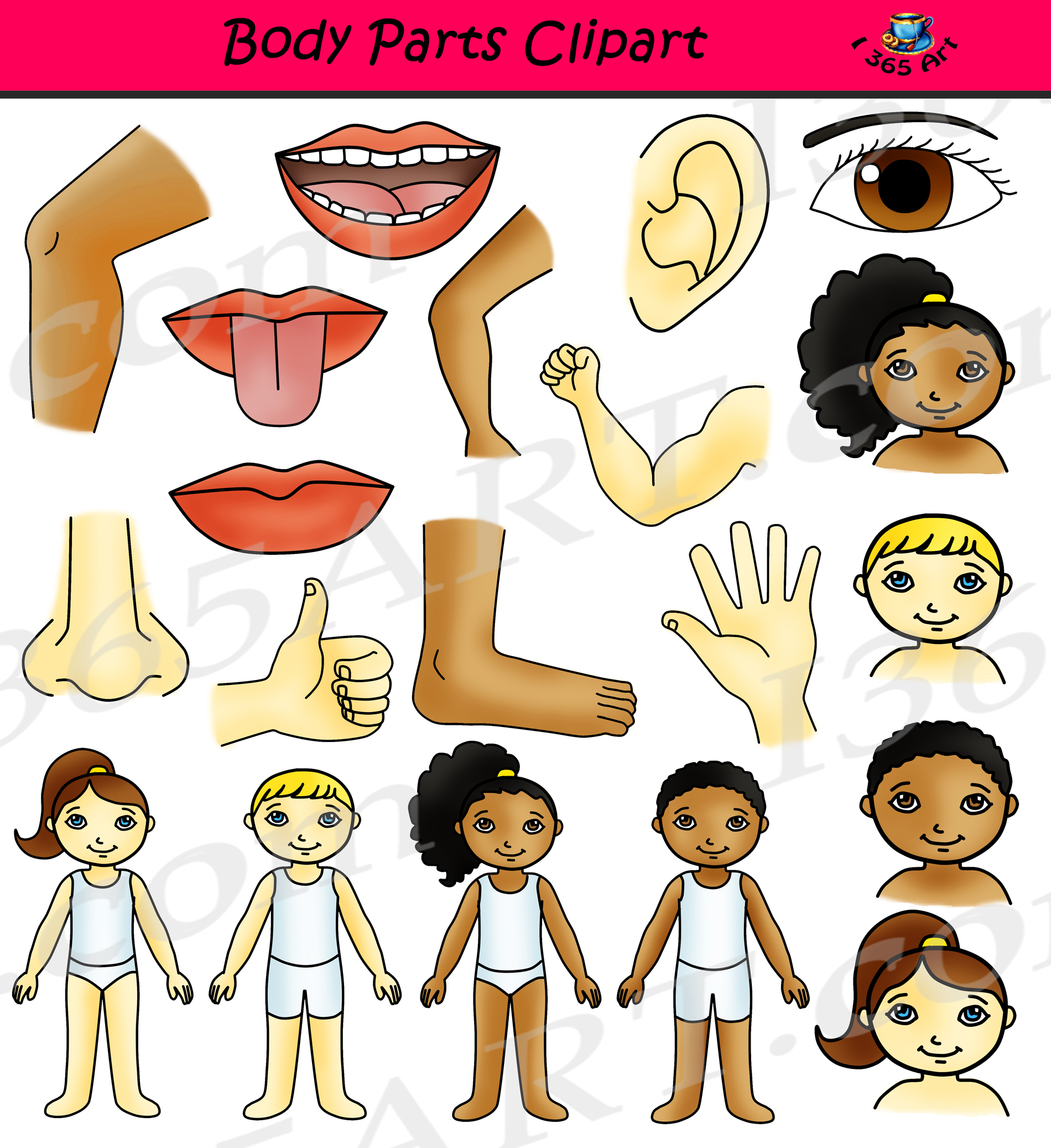 Body parts clipart.