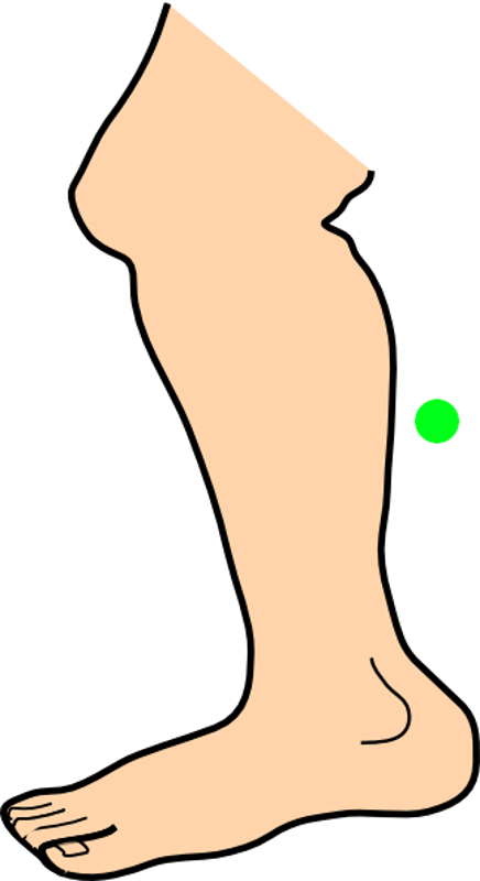 Nose clipart body.