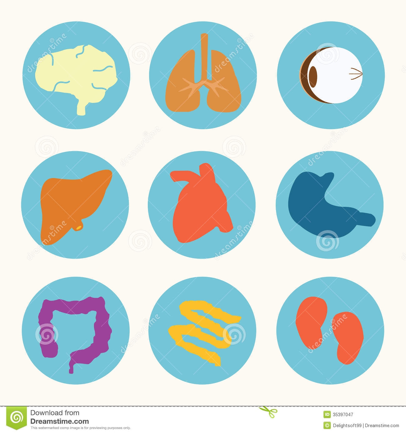 Body clipart organ, Body organ Transparent FREE for download