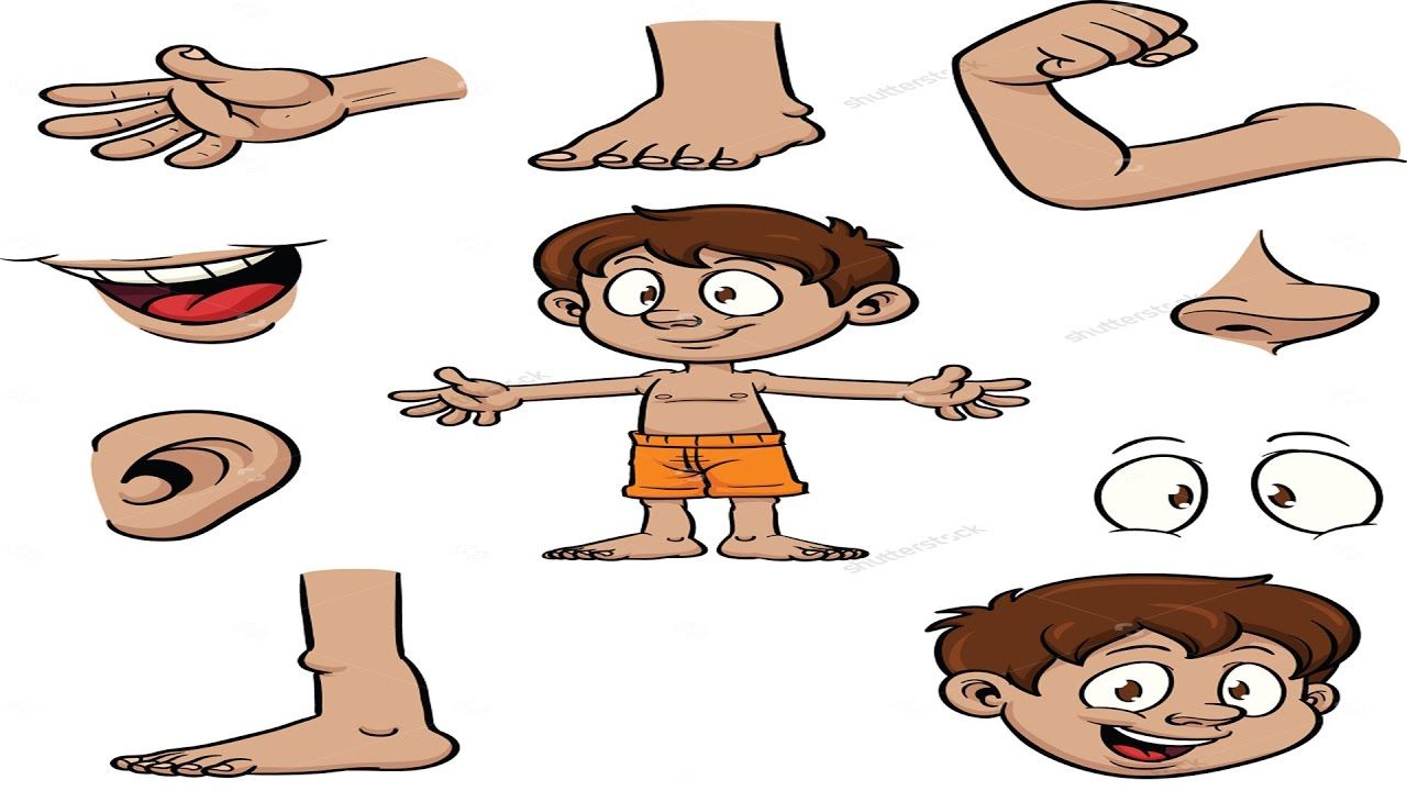 Pin on Parts Of The Body Human Body Parts Preschool Learning