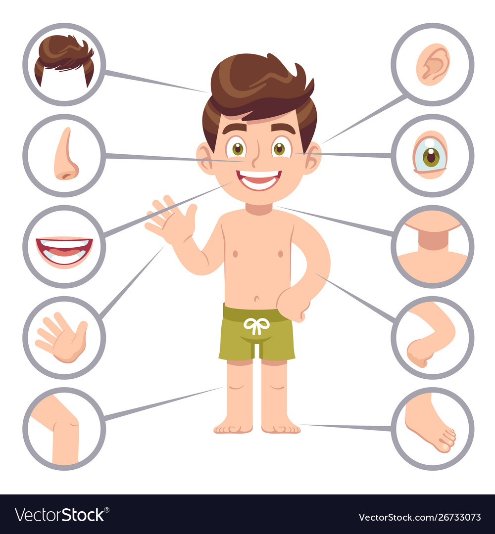 Kid body parts human child boy with eye nose and