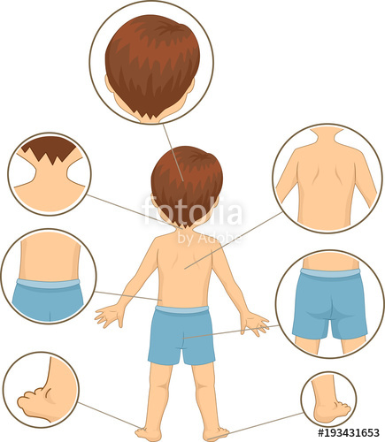 Kid Boy Body Parts Back Illustration