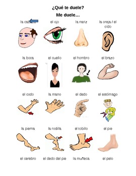 Spanish Body Parts Vocabulary, Crossword, and Wordsearch