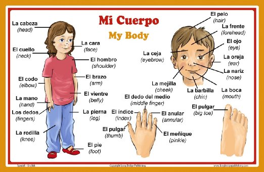 Free Parts Of The Body, Download Free Clip Art, Free Clip