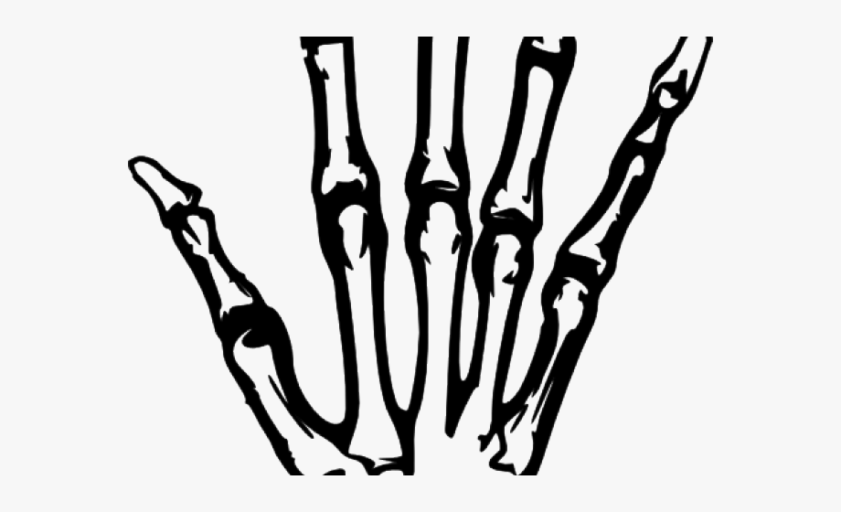 Human Bones Clipart