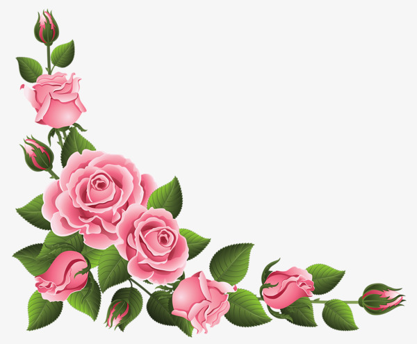 Pink Rose Border, Rose Clipart, Lace, Fl