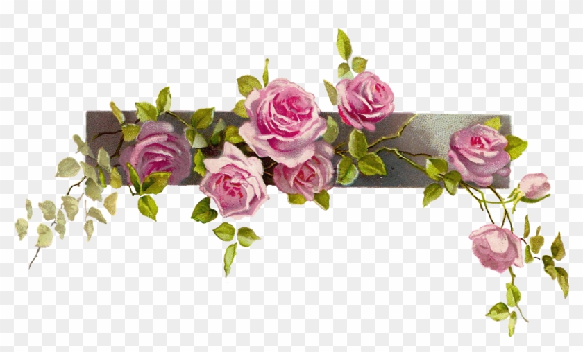 Border Flower Rose Line Image