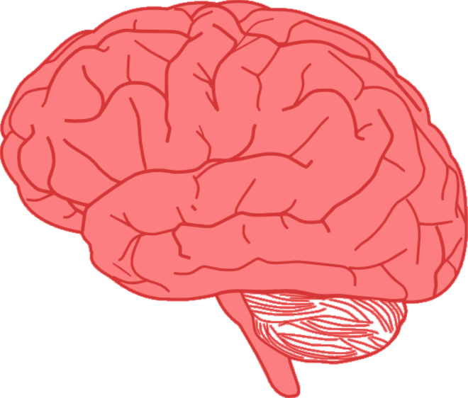 Brain clipart animated, Brain animated Transparent FREE for