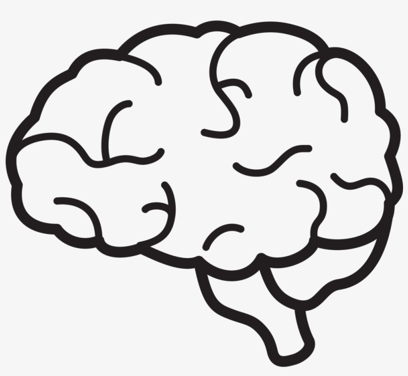 Download White Brain Png