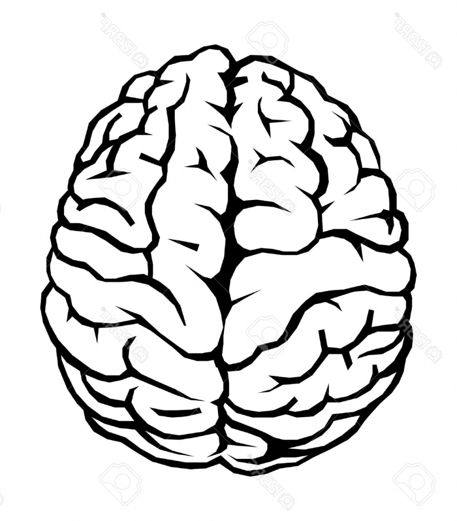 Brain clipart easy, Brain easy Transparent FREE for download