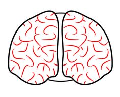 Free Brain Drawing Cliparts, Download Free Clip Art, Free