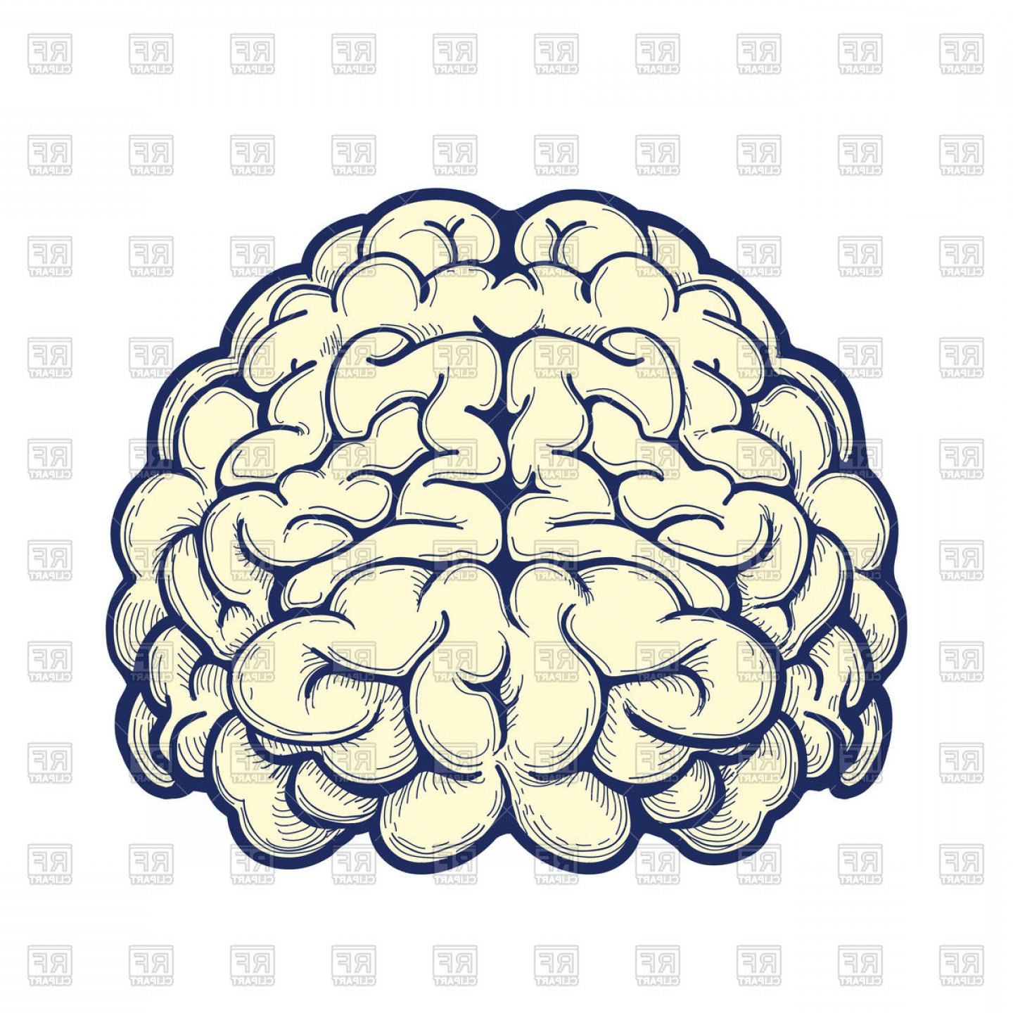 Human Brain Icon On White Background Vector Clipart