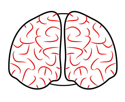 Free Brain Drawing Cliparts, Download Free Clip Art, Free