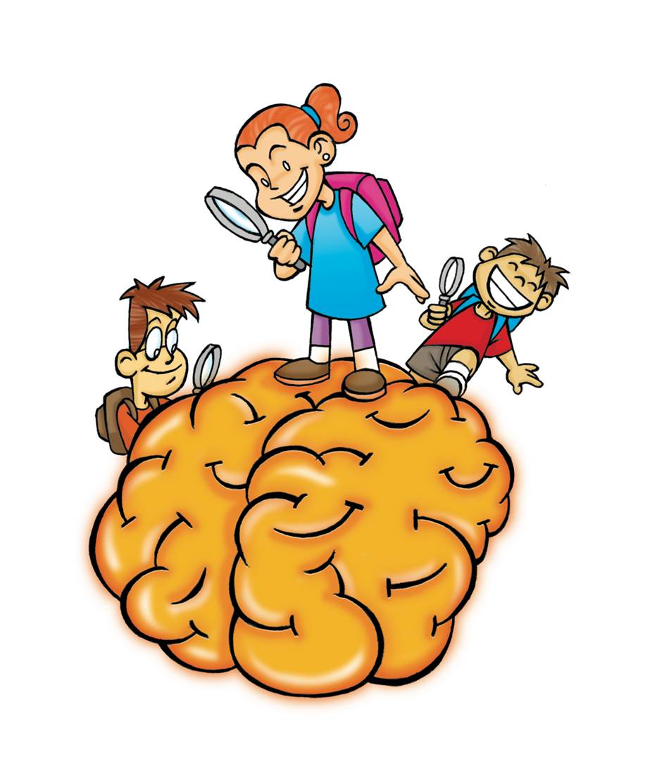 Best Brain Clipart For Kids