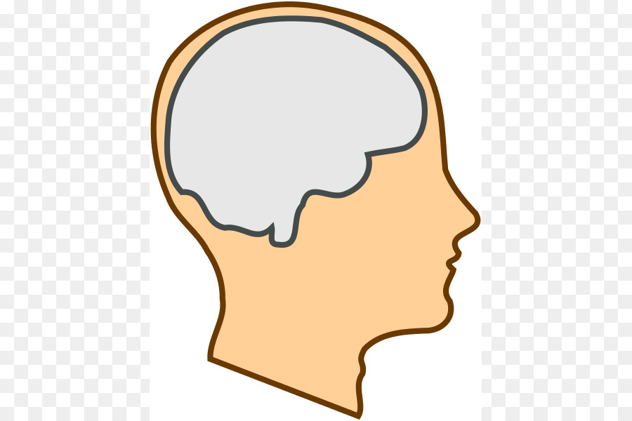 Brain clipart png.