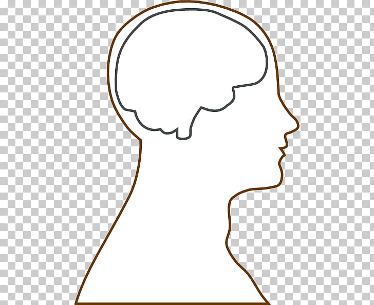 Outline of the human brain Human head , Human Brain , human