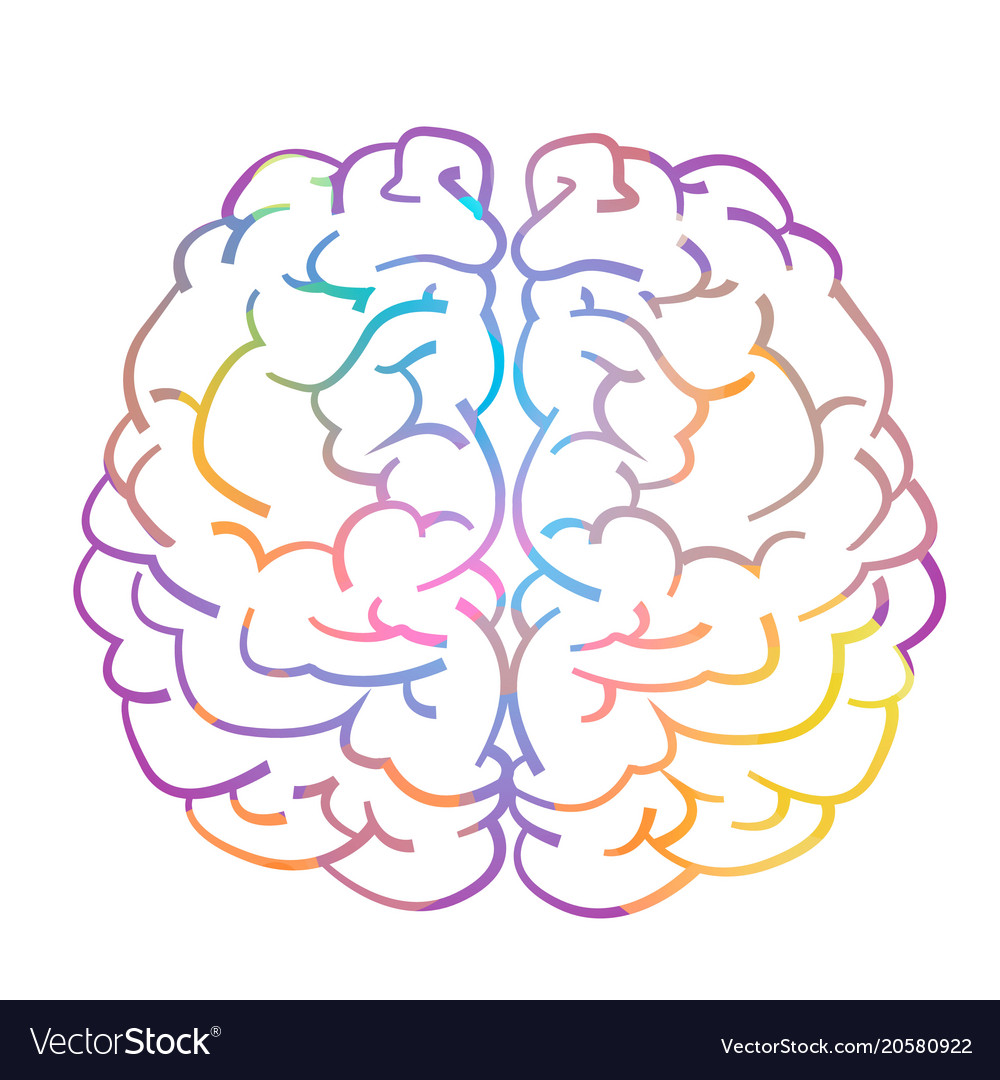 Left and right hemisphere of human brain
