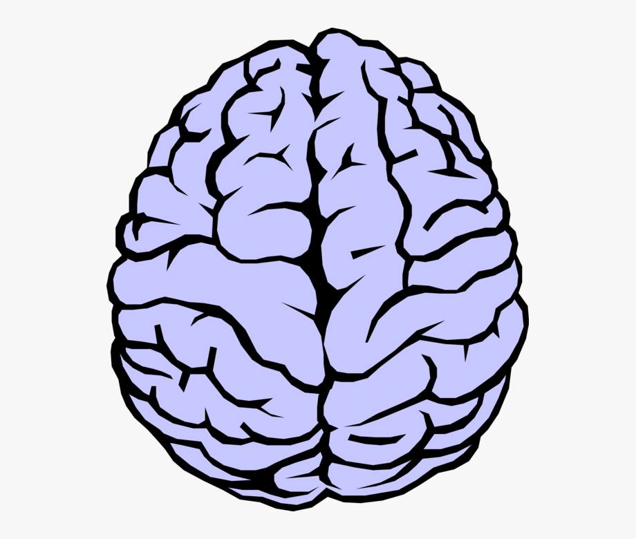 Vector brain brain.