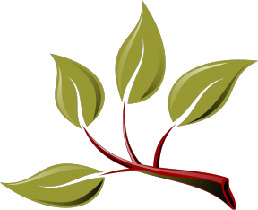 branch with leaves clipart art