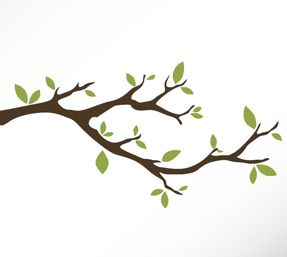 branch with leaves clipart cartoon