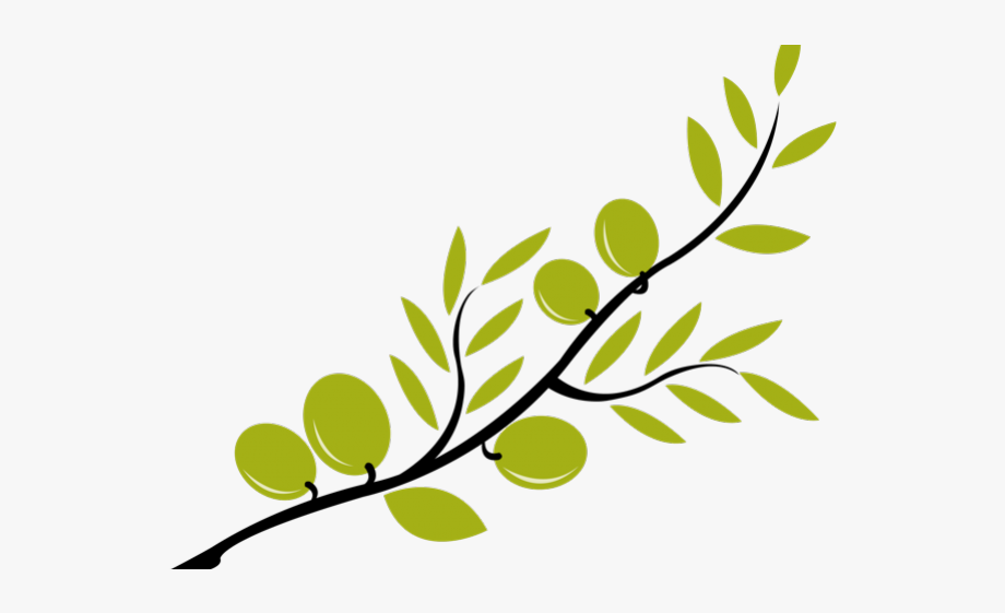 Leaf Clipart Olive Tree