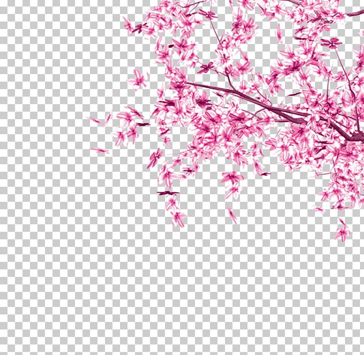 Cherry Blossom Pink Tree Leaf PNG, Clipart, Autumn Leaves
