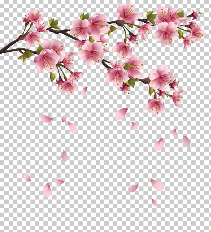 branch with leaves clipart cherry blossom