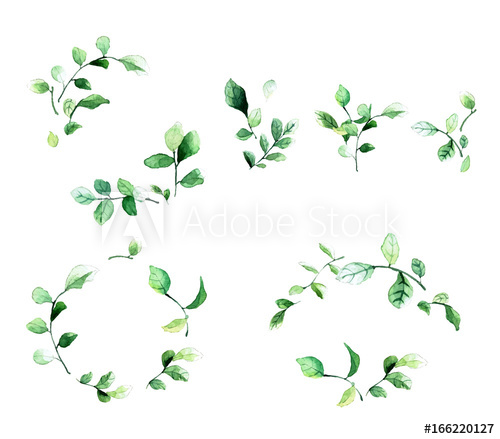 Elegant decorative floral frames with green leaves and