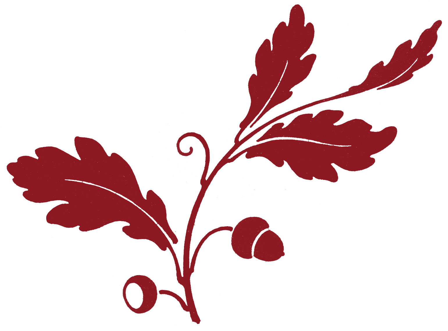 branch with leaves clipart elegant