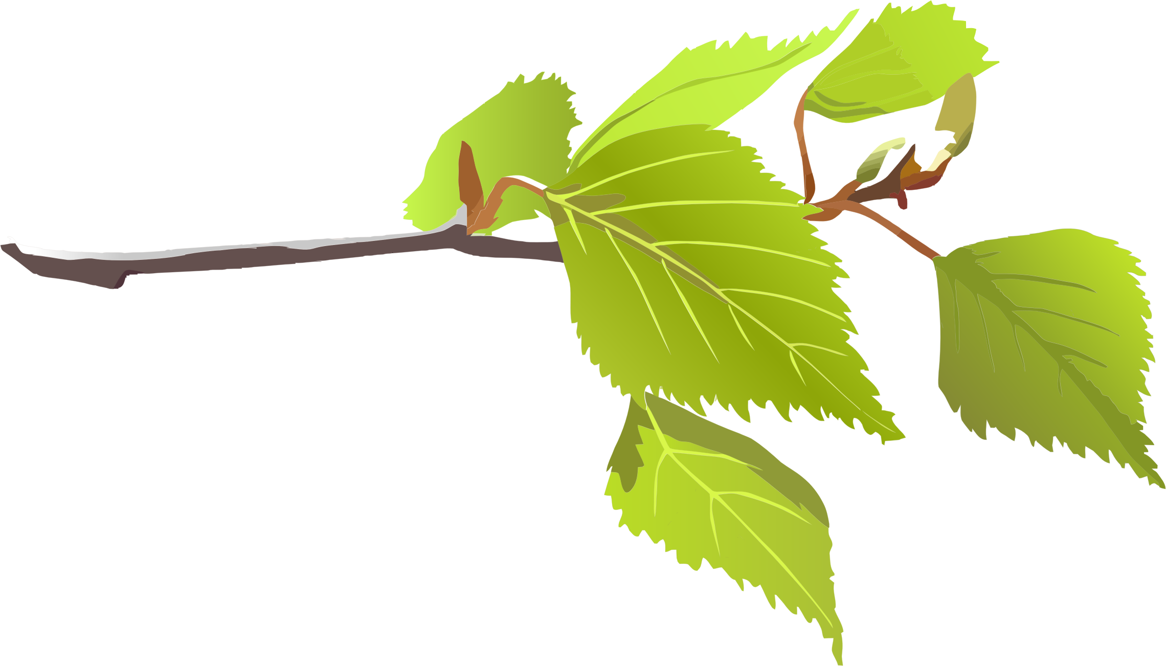 Free Branch Leaves Cliparts, Download Free Clip Art, Free