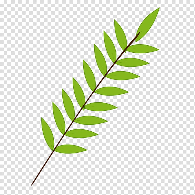 Branch leaf green.
