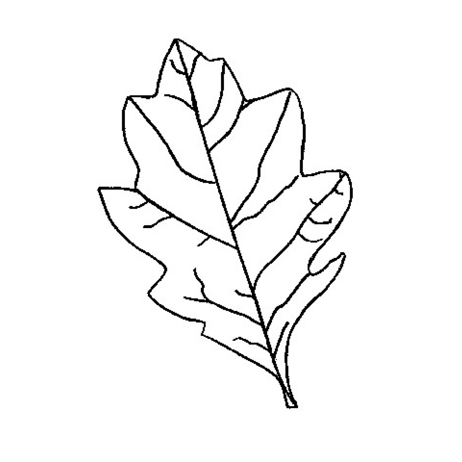 Free Oak Leaf Outline, Download Free Clip Art, Free Clip Art
